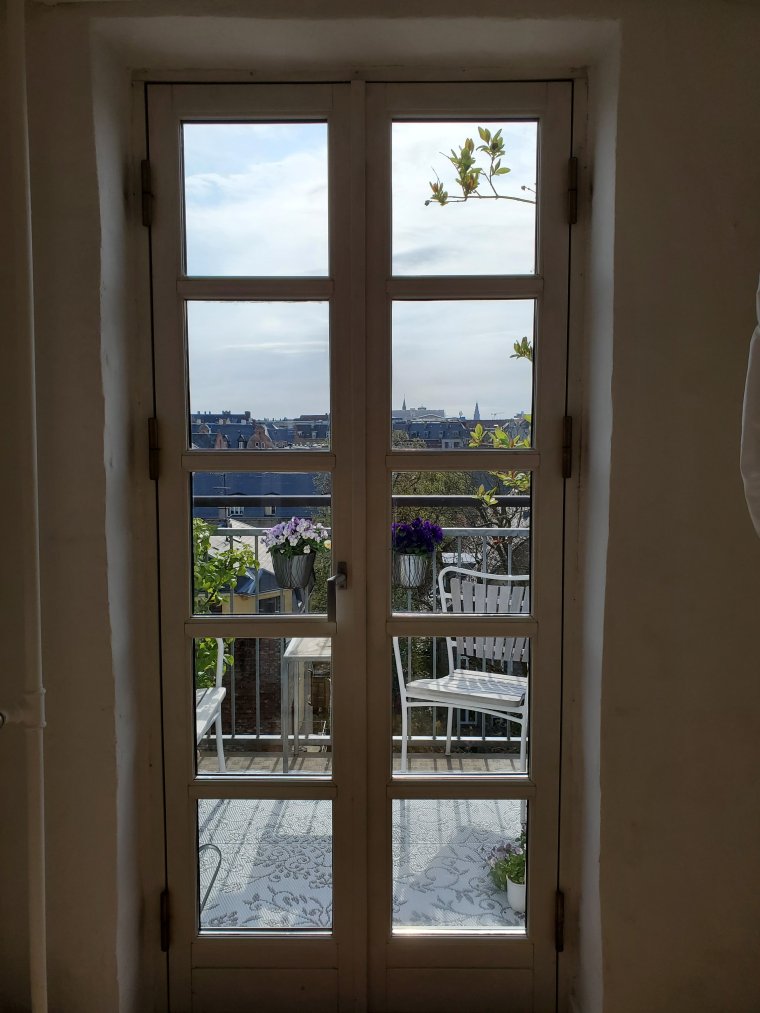 wp-16834400992528953325719833069700