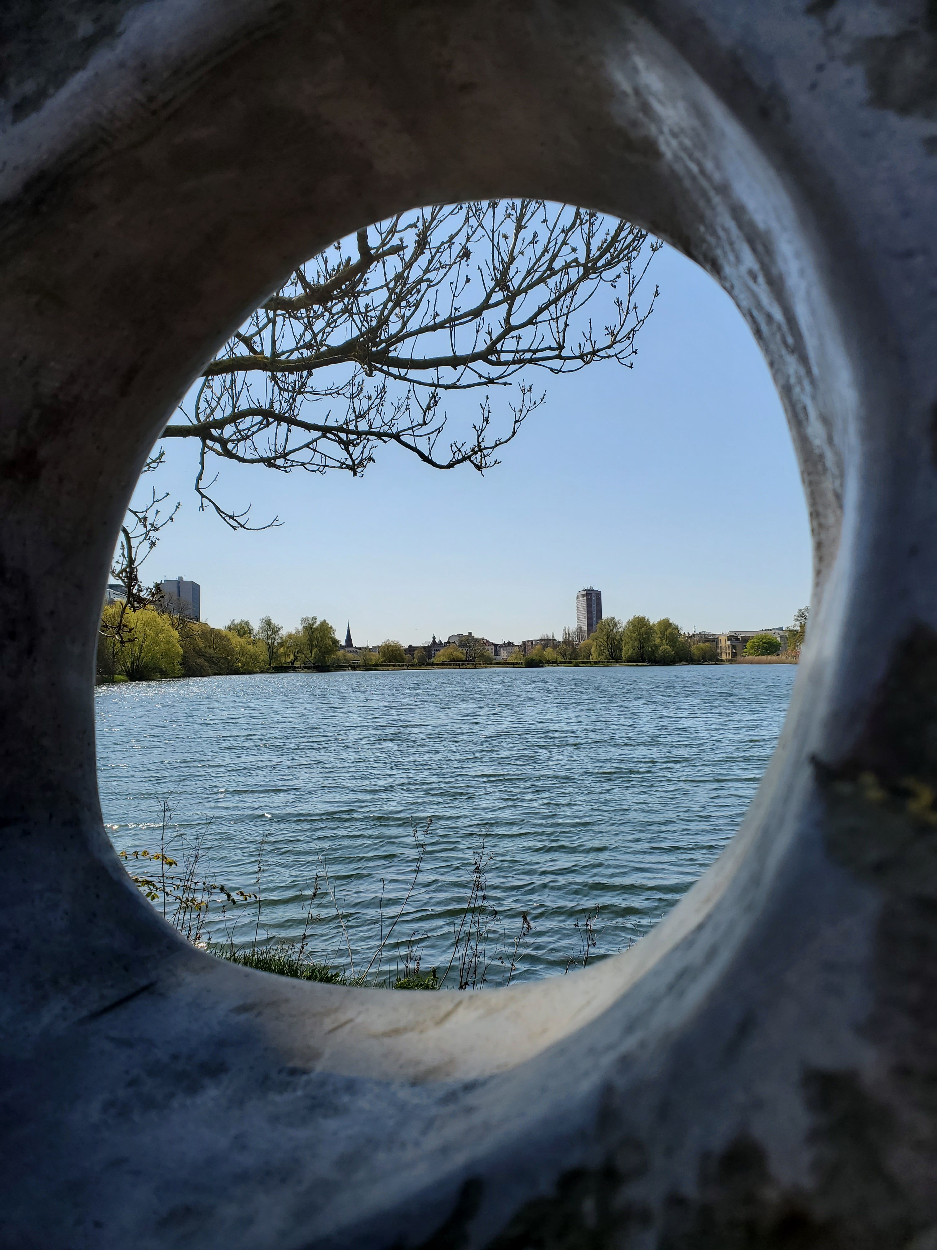 wp-16835393226044061680124646431329