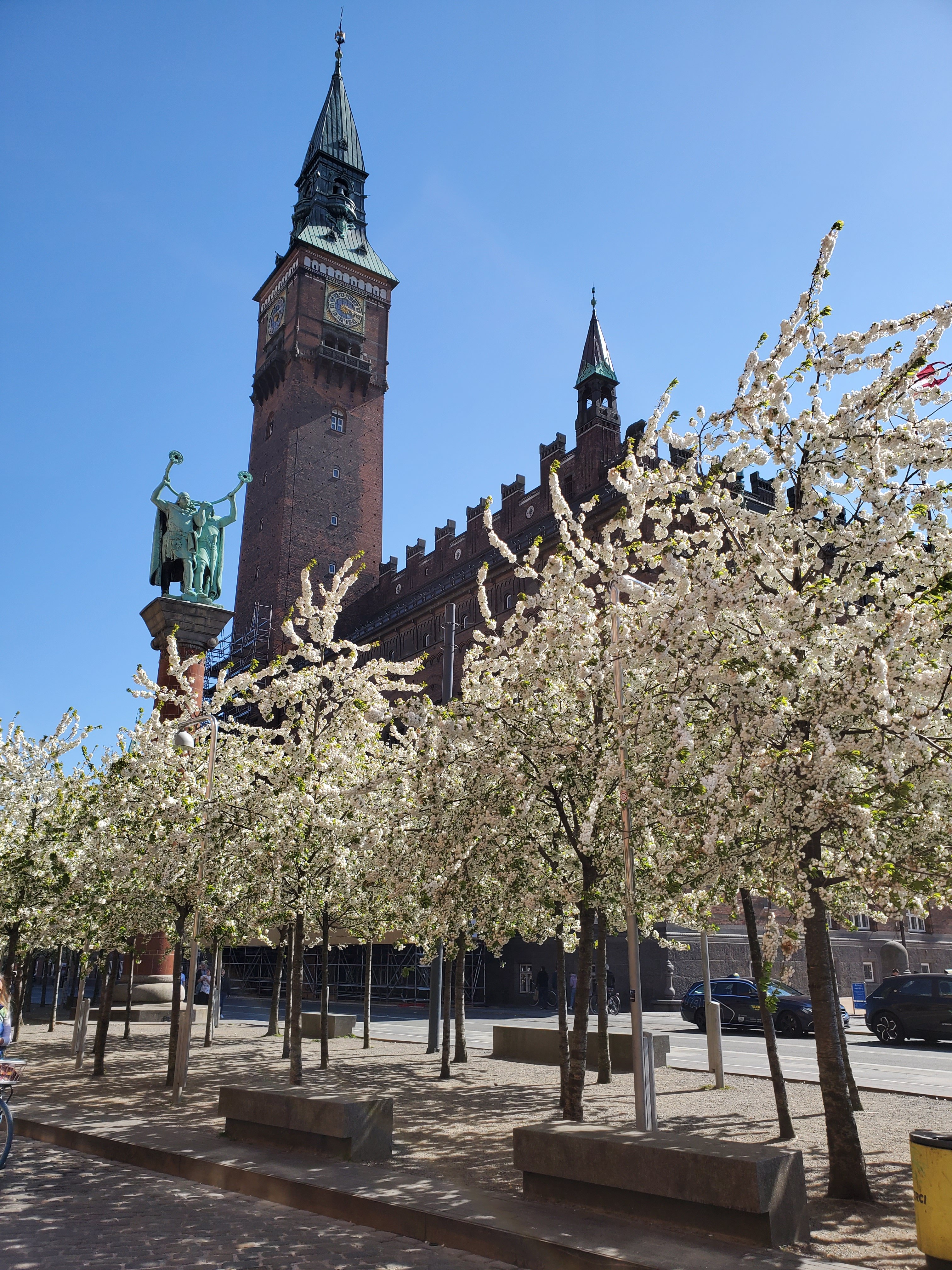 wp-16835400763606187005441345550506