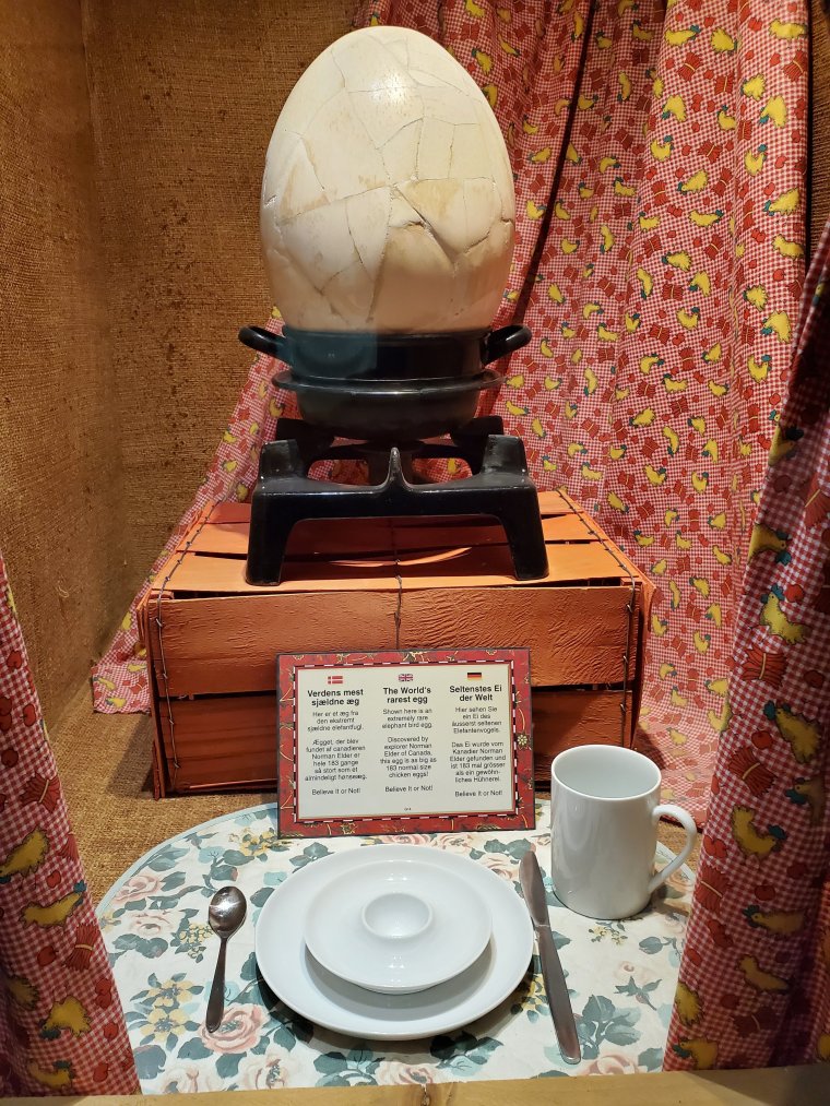 wp-16835402361746150279641615905848