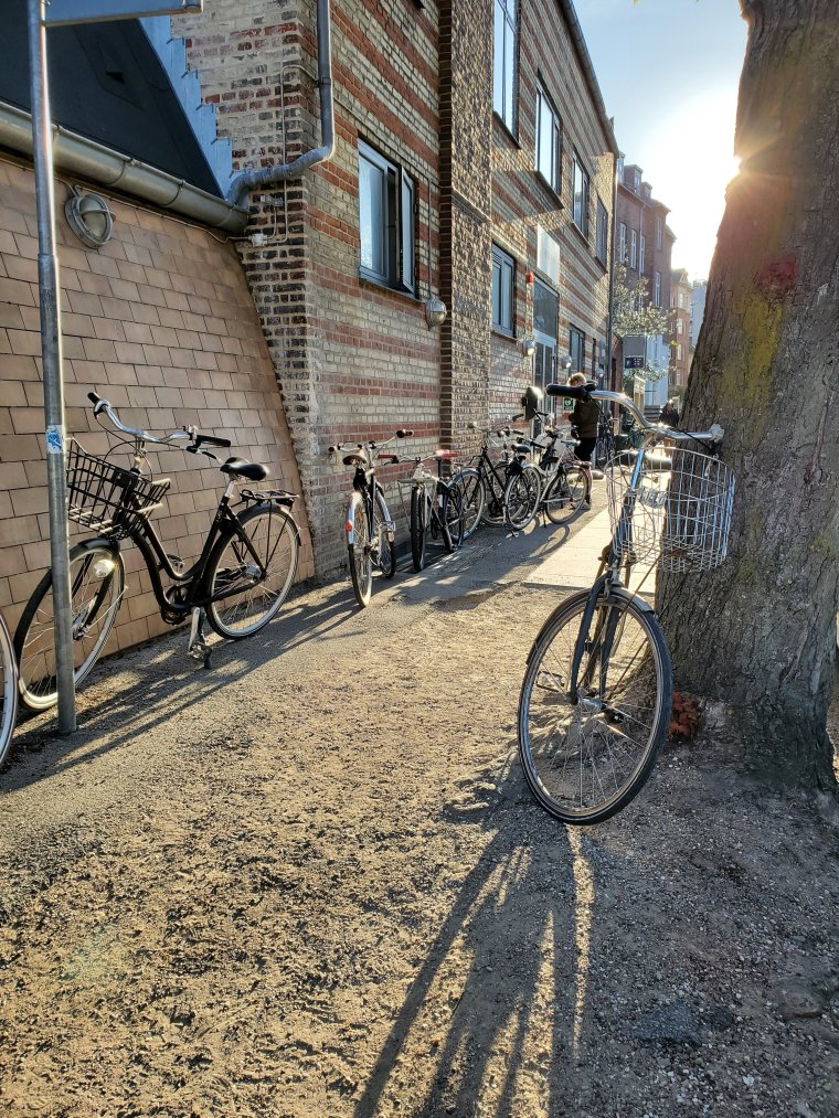 wp-16836649642433934686305500804430