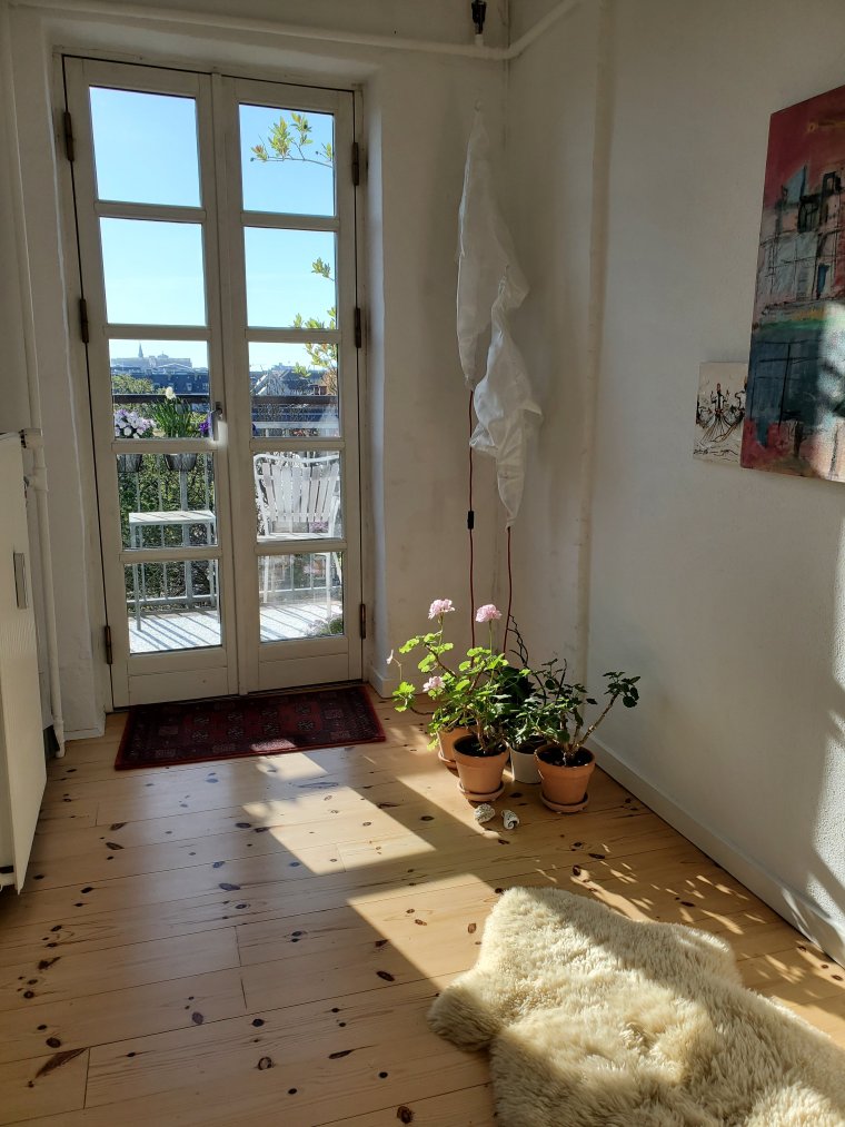 wp-16836650743337296240477135237022