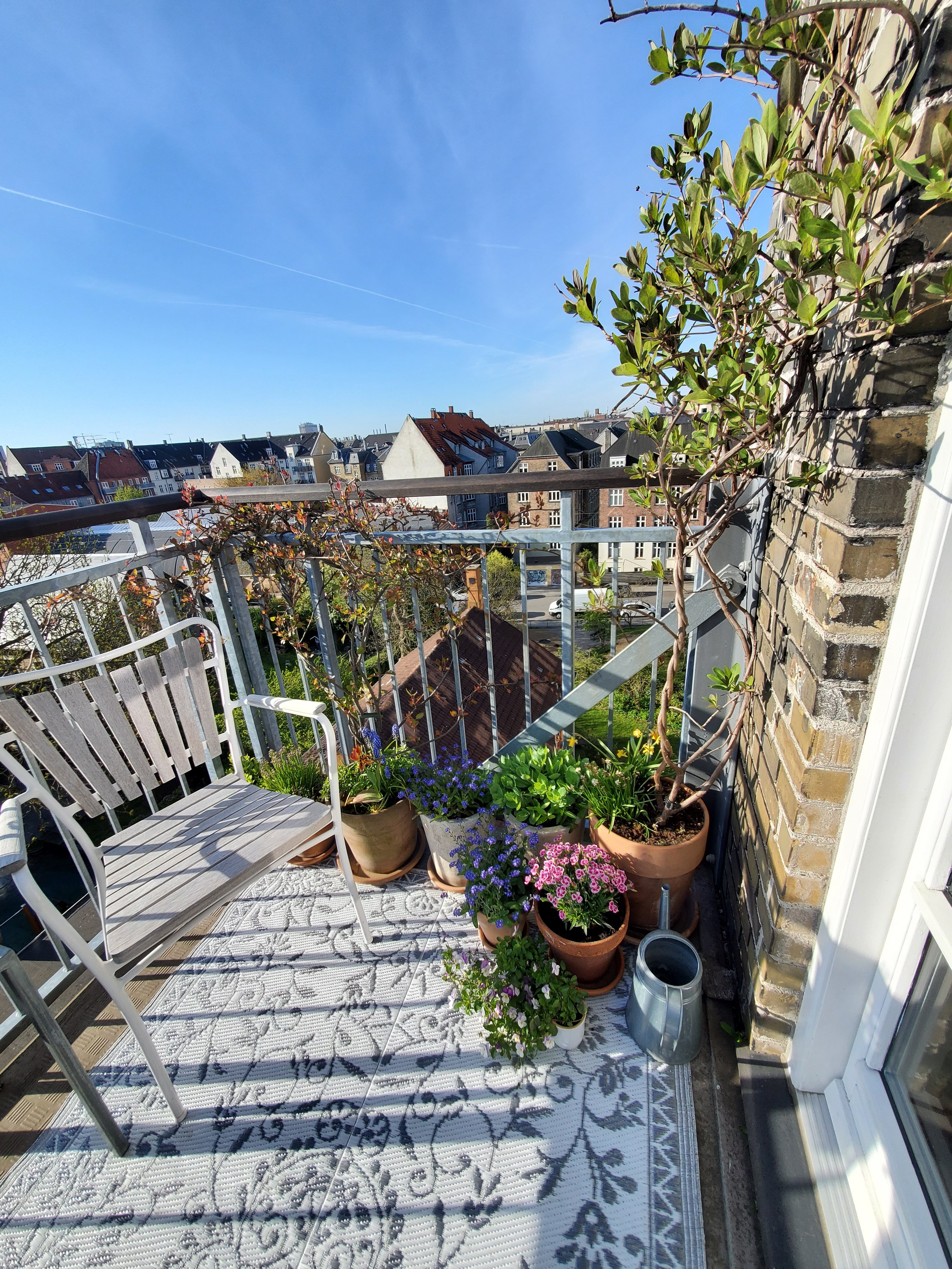 wp-16836651021557732335576226263553