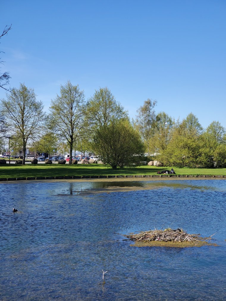 wp-1683666345241970948438872185978