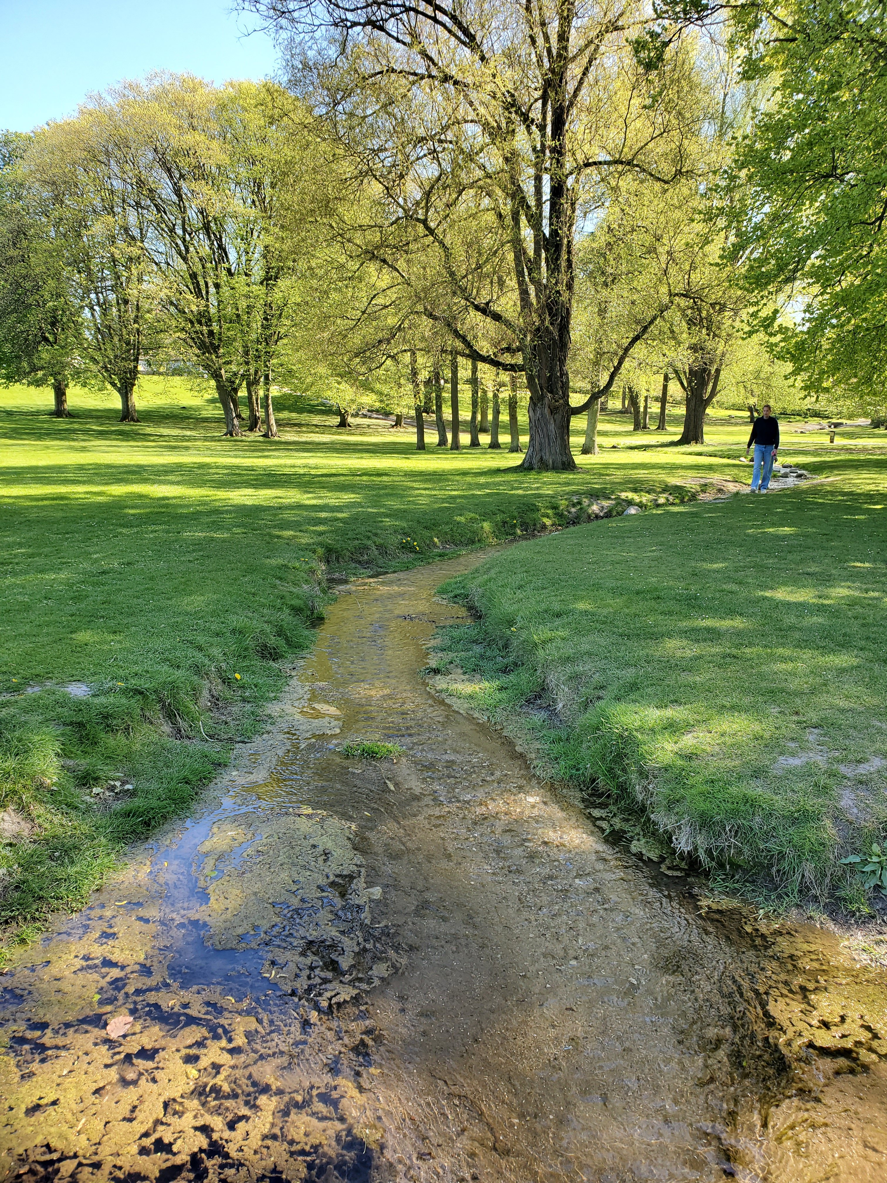 wp-16836663621976508430083376746503