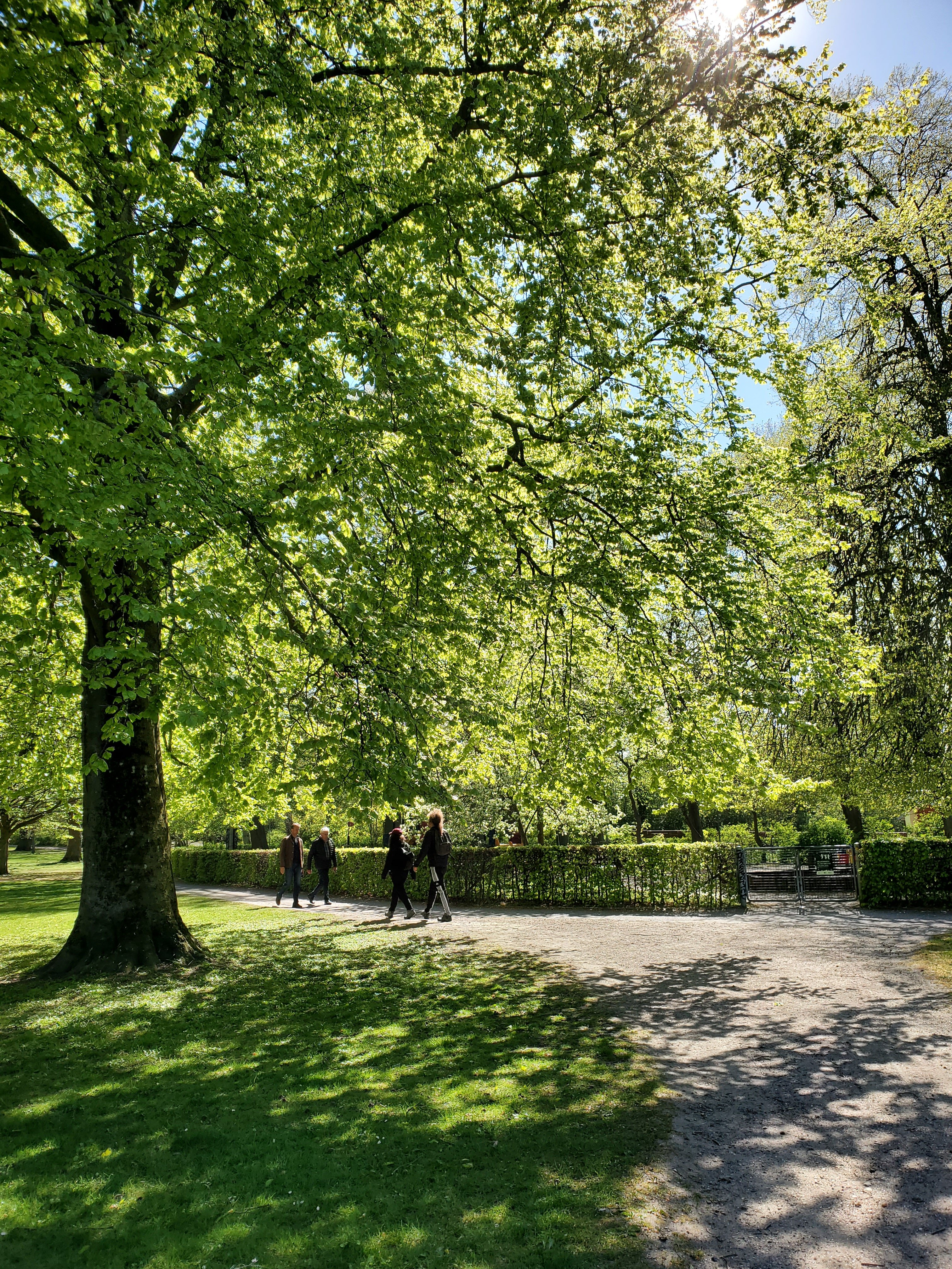 wp-16836663729075579203715576633430