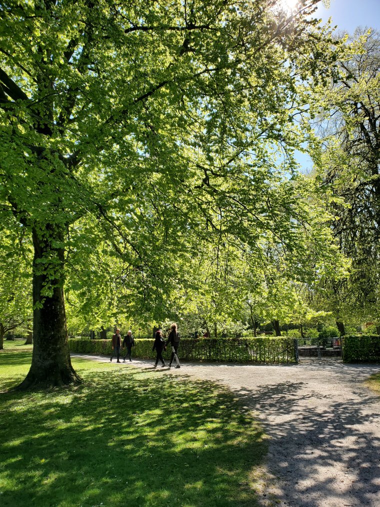 wp-16836663729075579203715576633430