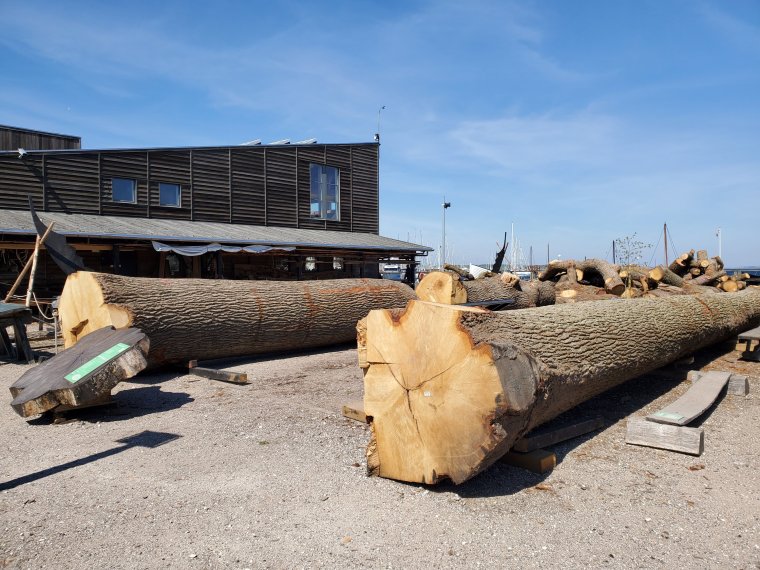 wp-1684054309552796177294670621558