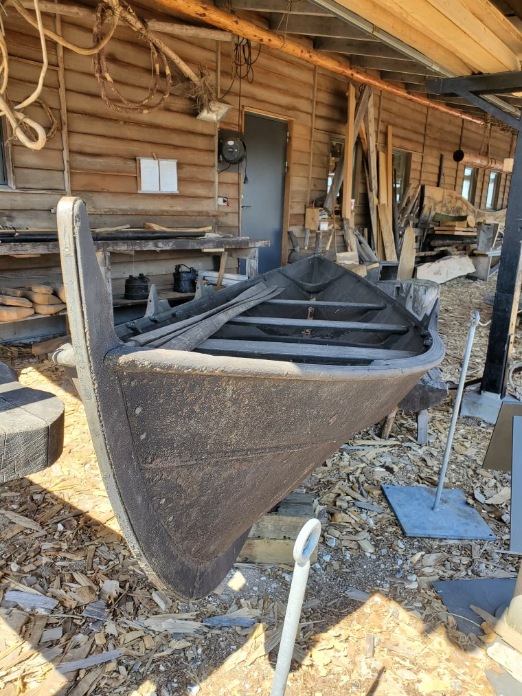 wp-1684054310417792223850098664947