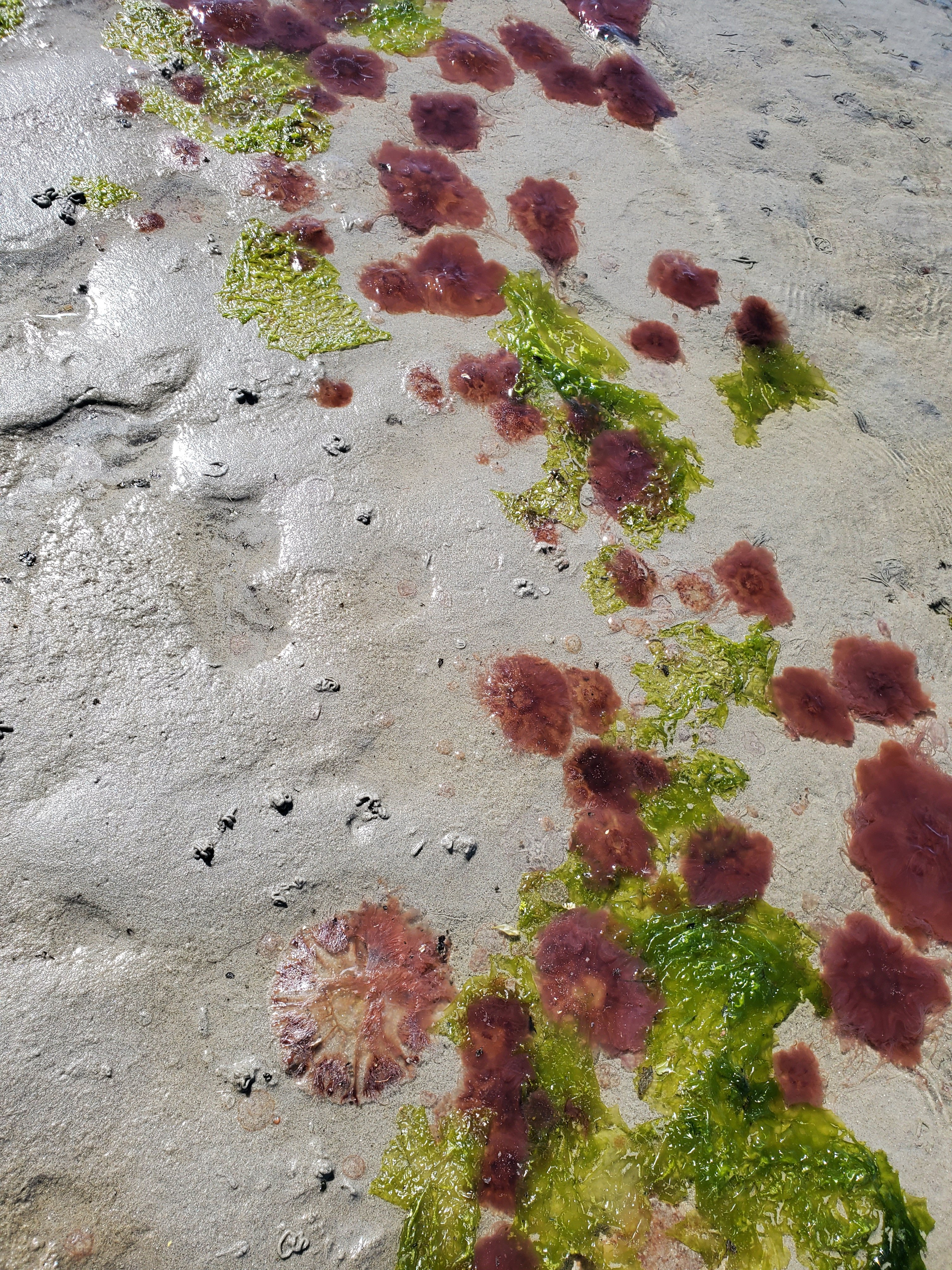 wp-16840545600673622582869238491762