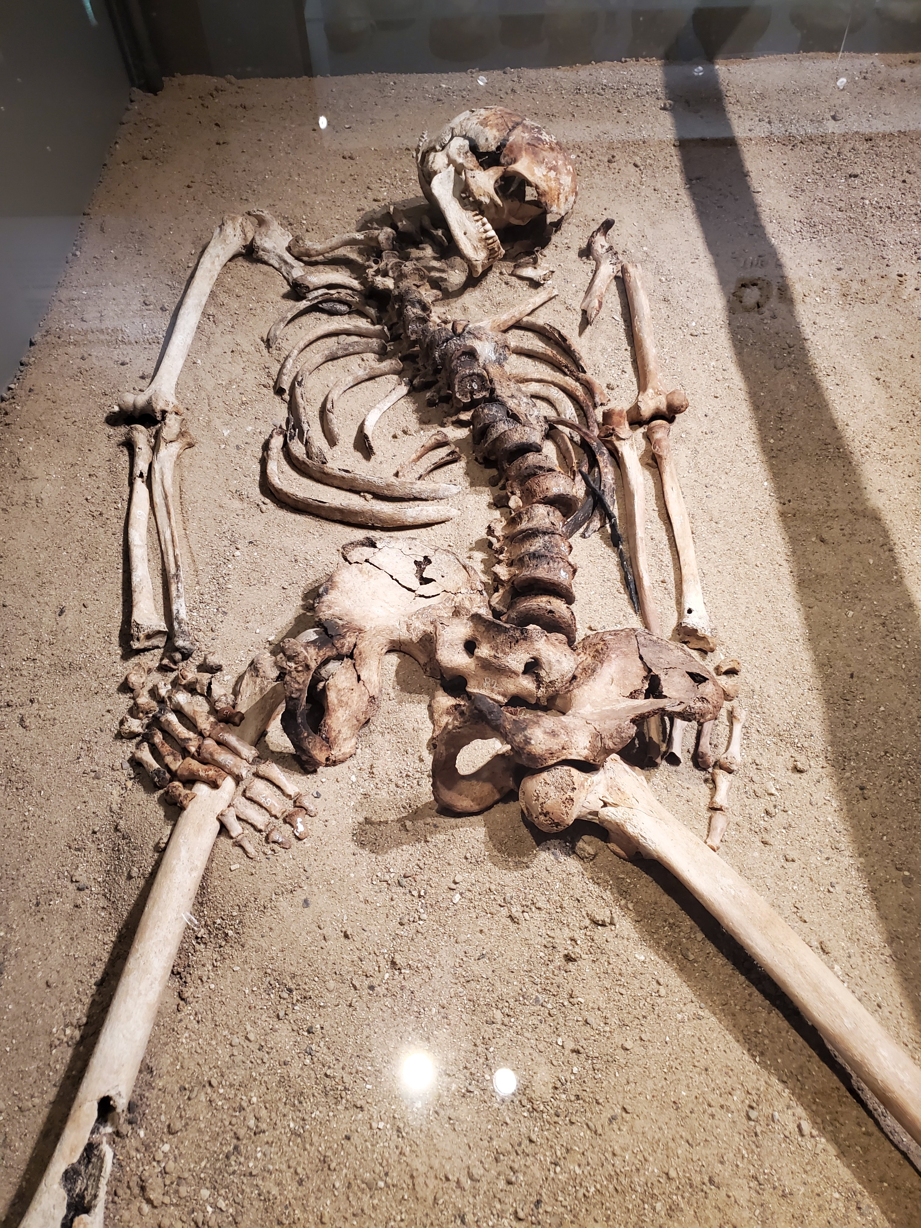 wp-16840545624115256258684376885190