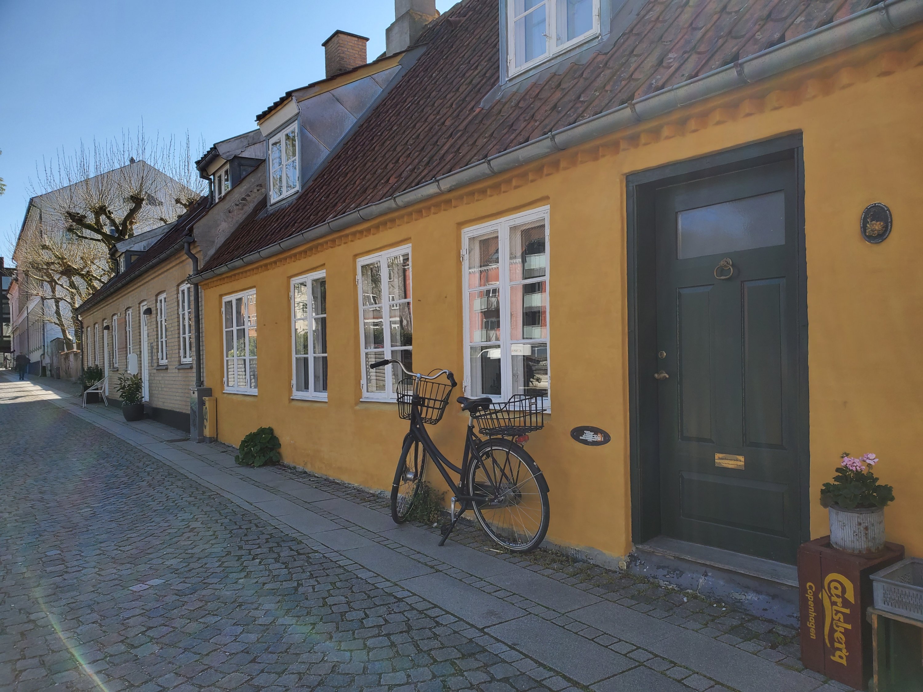 wp-16840545666004464292156613061665