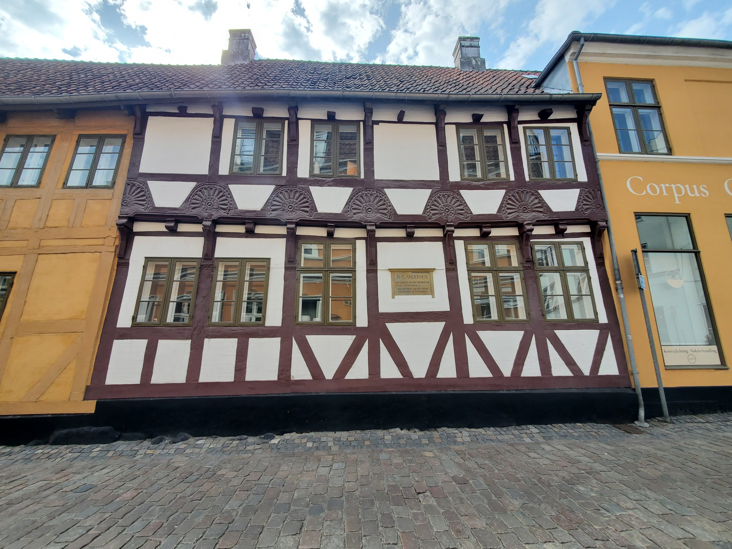 wp-16840551656998253382364992929861