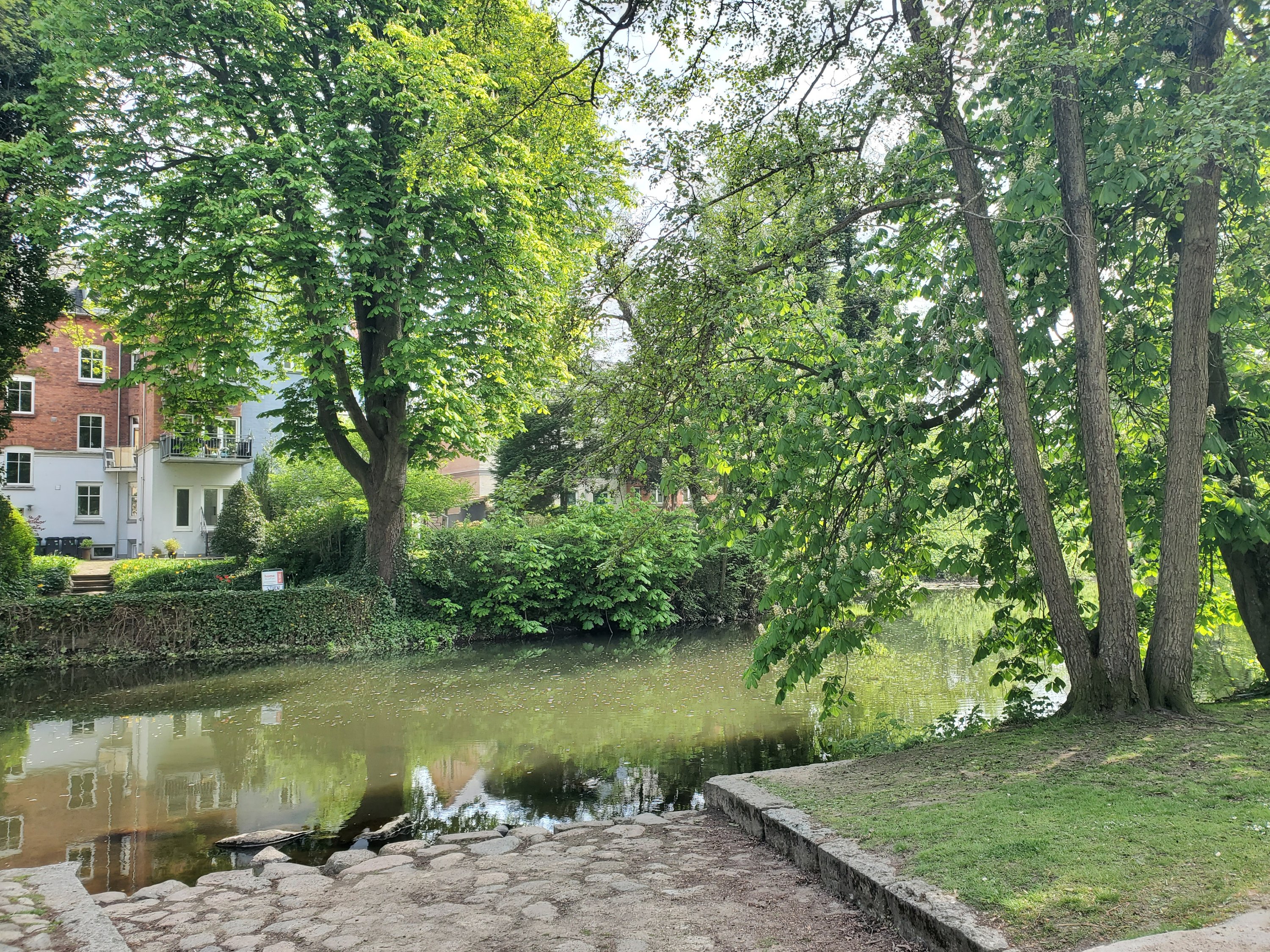 wp-16840551666581891661281114439523