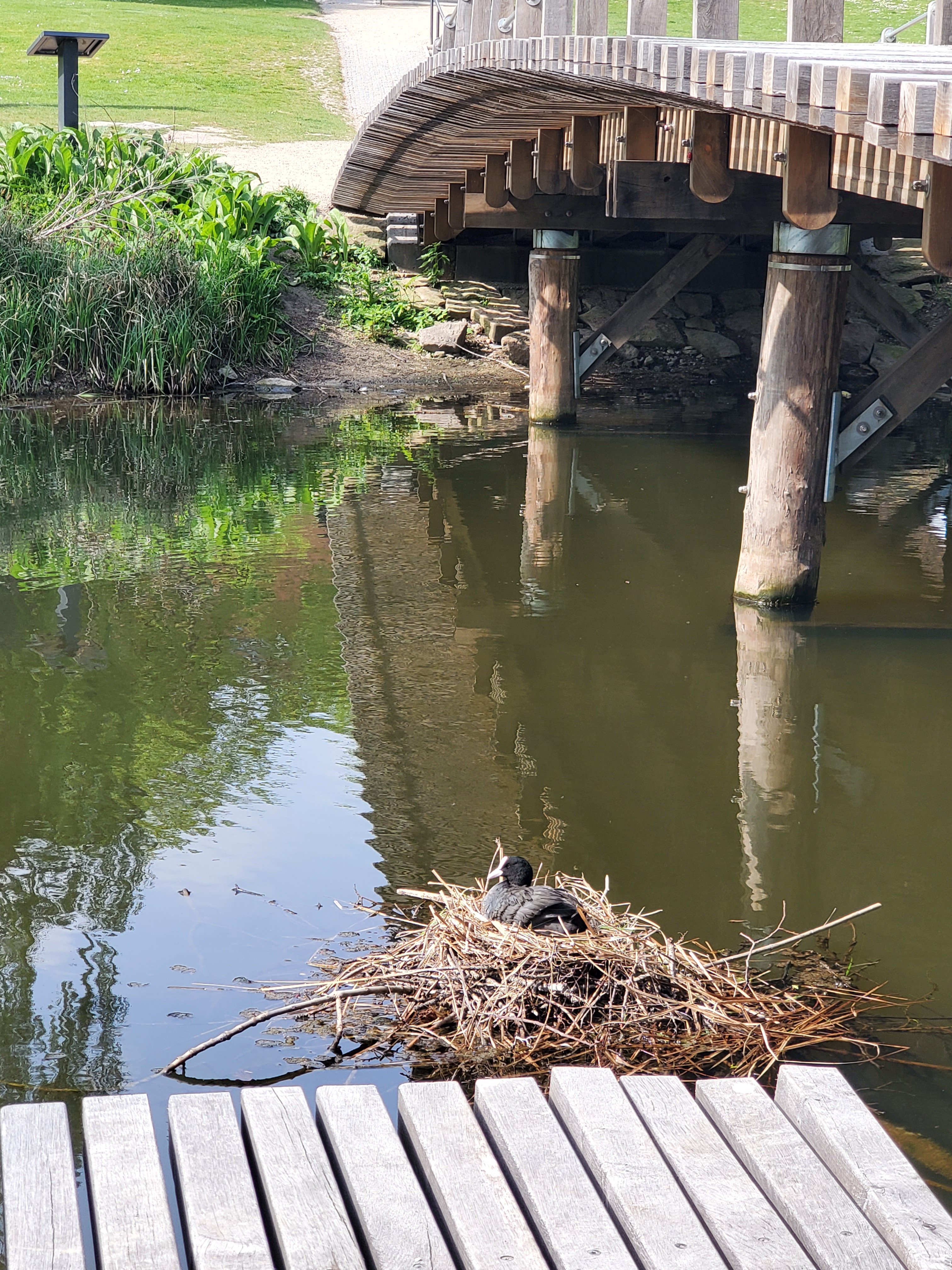 wp-16840551694691502421282859437406